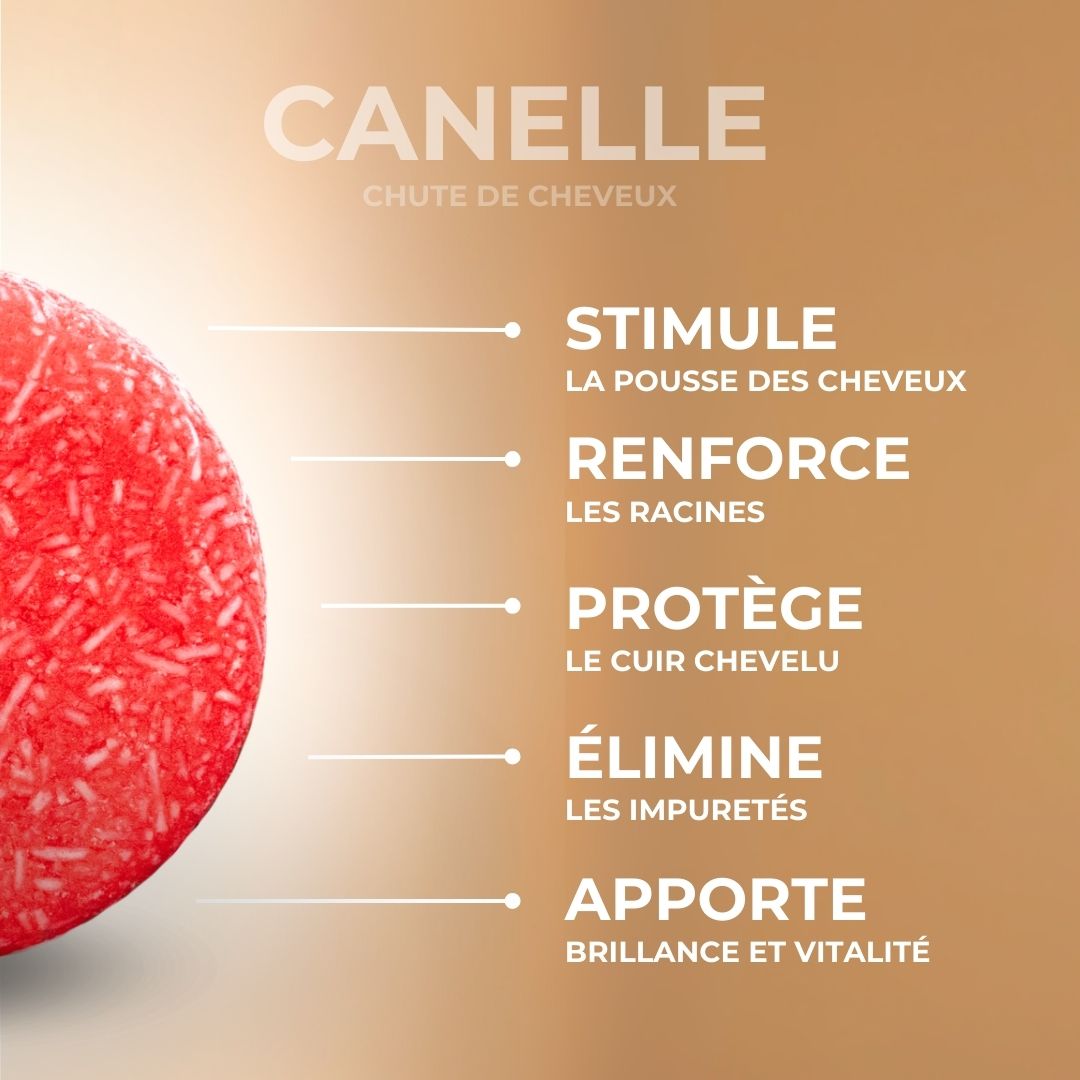 CANNELLE - Anti-chute