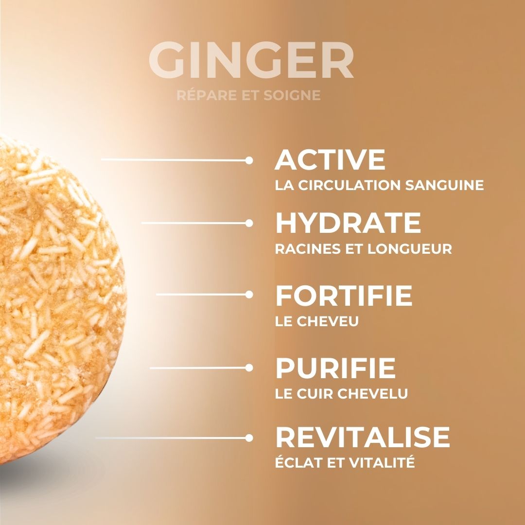 GINGEMBRE - Répare et soigne