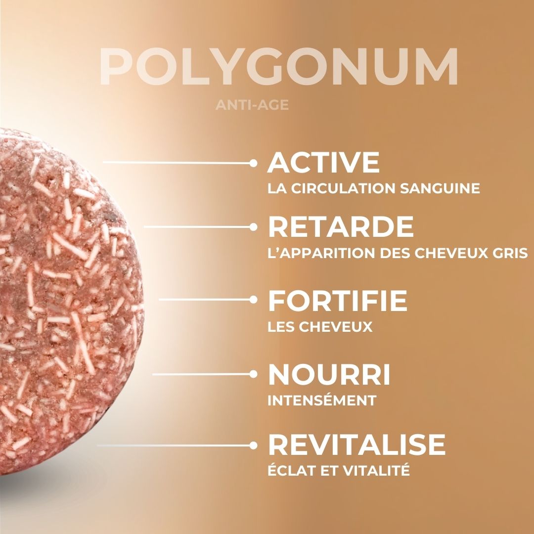 POLYGUNUM - Anti-âge