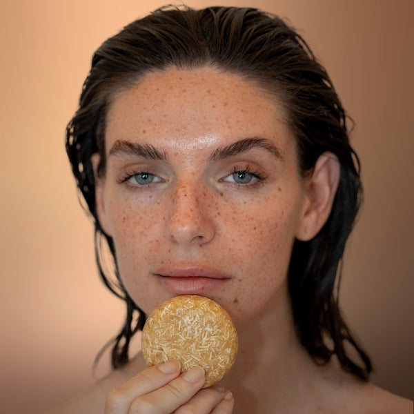 GINGEMBRE - Répare et soigne