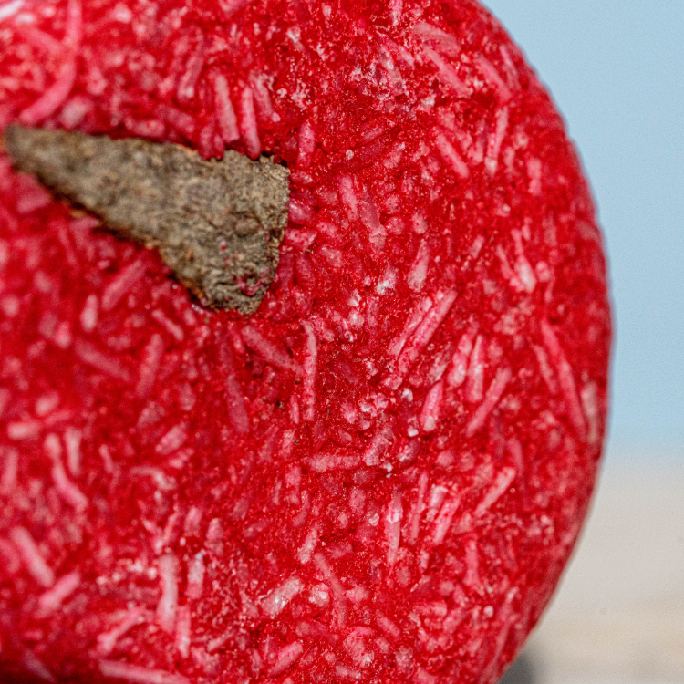 CANNELLE - Anti-chute