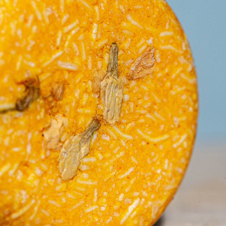 JASMIN - Cheveux abimés